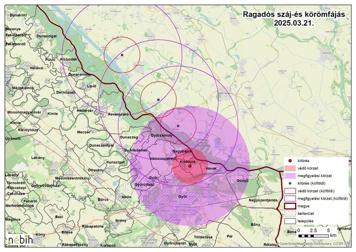 486830250 1257623436208494 9167058169119207920 n